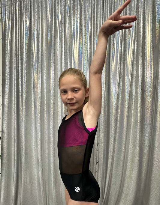 Black Half Half Mesh Leotard